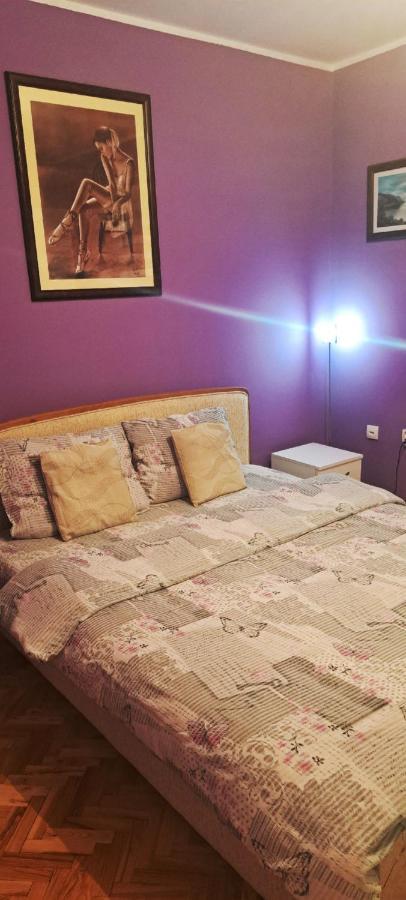 Apartman Zile Palánka Kültér fotó